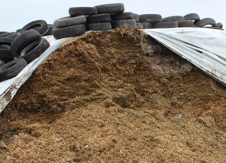 Learning from Australian farmers for longterm storage of silage